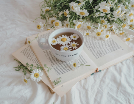 Common Scents: Chamomile